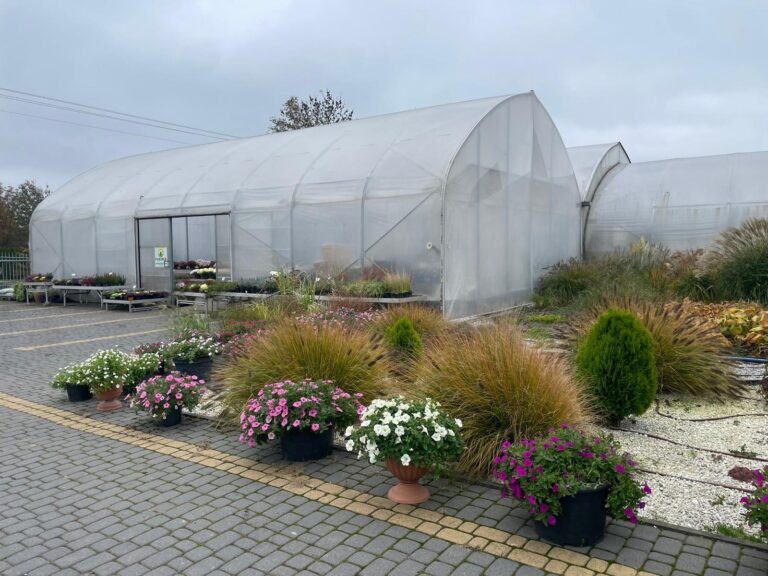 gospodarstwo rolne 1