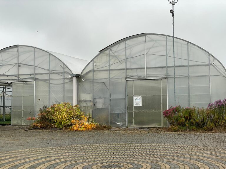 gospodarstwo rolne 3